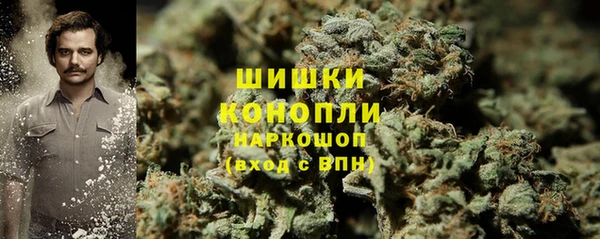 PSILOCYBIN Алзамай