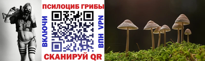 Купить  Кашира  Галлюциногенные грибы GOLDEN TEACHER 